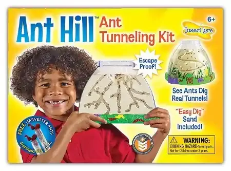 Ant Hill Ant Tunneling Kit