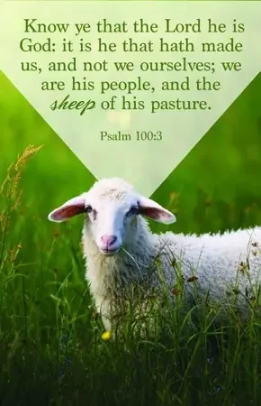 The Sheep of His Pasture (Psalm 100 3, KJV) Bulletins, 100